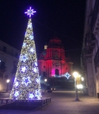 "L'ALBERO PIU' BELLO" IN PIAZZA DUOMO A RAGUSA IBLA ! - GUIDA TURISTICA RAGUSA